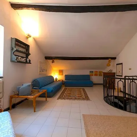 Cozy * 피날레리구레